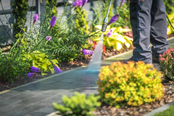 Best Dumpster Area Cleaning  in East Rutherford, NJ